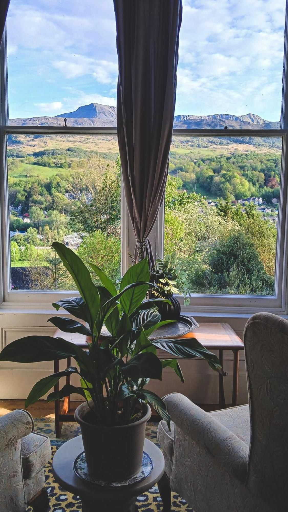 Amazing Cader Views Torrent En Suite Долгелай Екстериор снимка